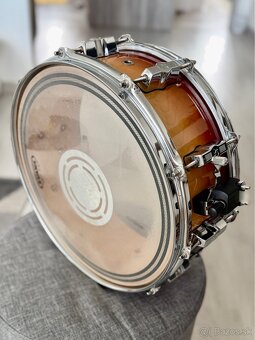 Sonor FORCE 3005 maple 14”x5,5” - 2