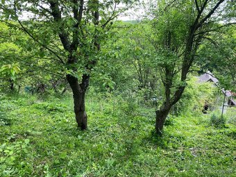 Záhrada 383 m2 s chatou 2izb Košice – Zdoba - 2