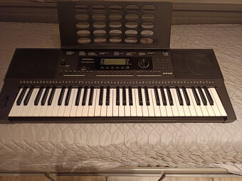 Kurzweil KP 110 - 2
