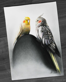 KRESLENIE PORTRÉTOV, ČOHOKOĽVEK ... - 2