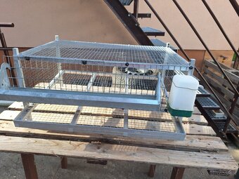 Klietka pre prepelice - 2