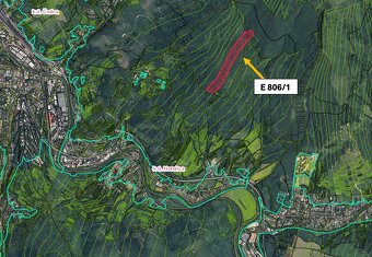 Horelica – 3.100 m2 LES – PREDAJ - 2