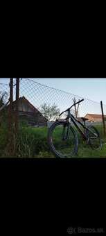 Ctm dirtking - 2