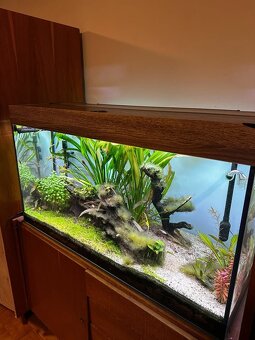 Predám kompletné akvárium 200L s príslušenstvom - 2