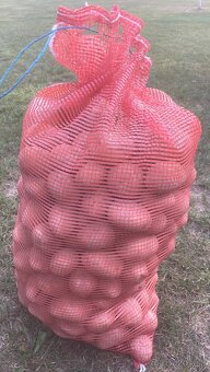 Konzumné zemiaky - 2