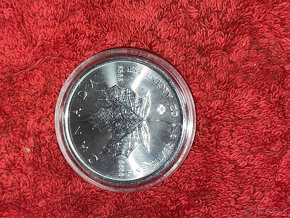 Stříbrná mince Maple Leaf - Kanada (1Oz, 2021-22) - 2