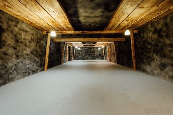 Prenájom priestoru 140m2 pri R1 - 2