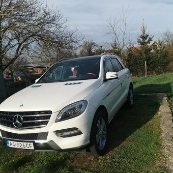 Mercedes ML350 4x4 - 2