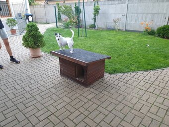 Predám peknú málo používanú zateplenú búdu pre menšie psy - 2