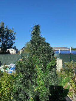 Predám umelý vianočný stromček 2m - 2