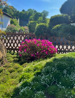 Záhrady v Japonskom štýle - 2