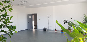 Prenajmem 60m2 kancelárske priestory pri R1 v Nitre. - 2