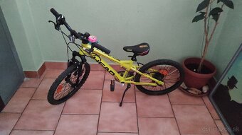 Horský bicykel Head ridott gte 20' - 2