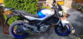 Suzuki gladius 650 sfv - 2