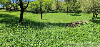 Ovocný sad s možnosťou výstavby s jedinečným výhľadom na - 2