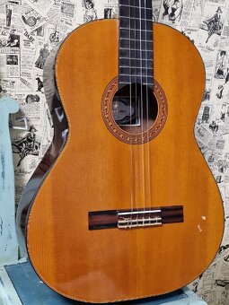 Akusticka Gitara - Boeing Guitar C-120 / hraná gytara - 2