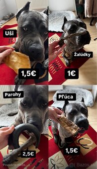 Sušené pamlsky - 2