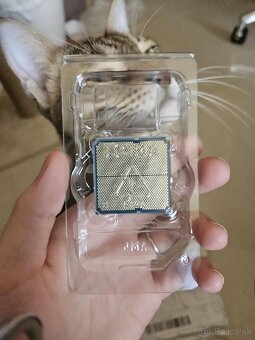 AMD Ryzen 7 9800X3D - 2