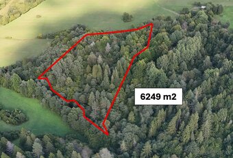 Lysica – 6.249 m2 LES – NA PREDAJ - 2