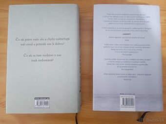 Donna Tartt Stehlík a Tajný príbeh - 2