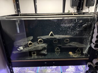 Regály s akváriami, technikou a rybičkami - 2