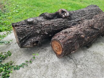 Predám čerešňové drevo - 2