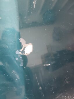 Predám prednú kapotu škoda Octavia 1 - 2