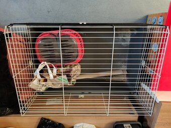 Klietka zajac - 2
