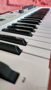 Arturia KeyLab Essential 49 MIDI keyboard White - 2