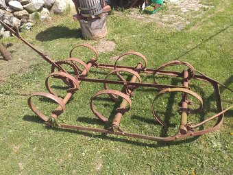 Starý kyprič(kultivátor) - 2