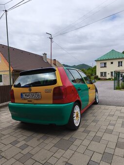 Polo Harlekin - 2