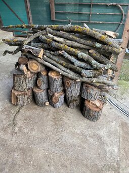 Predám čerstvé orechové drevo - 2