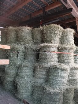 Predam seno male baliky - 2