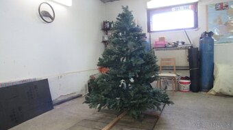 Predám vianočný stromček - 2