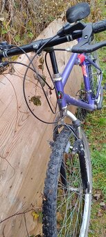 Starsi bicykel CANGURO - 2