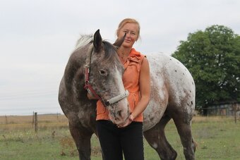 Rančerka hledá muže se srdcem u koní - 2