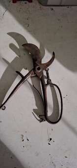 Starožitné noznice - 2