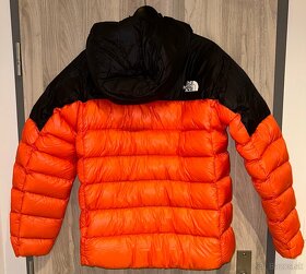 The North Face Summit Series 800 Pro (Parka) - 2