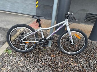 Amulet 20 Youngster Dark Violet Shiny - 2