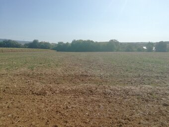 Stavebný pozemok Tesárske Mlyňany - 2