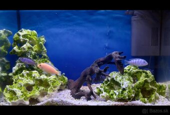 Akvárium Juwel s príslušenstvom - 2