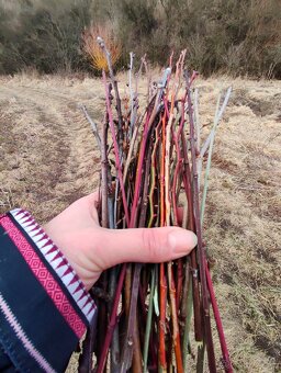 Zbierka listov, zbierka púčikov - 2