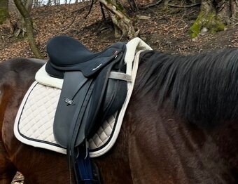 Všestranne anglické sedlo - 2