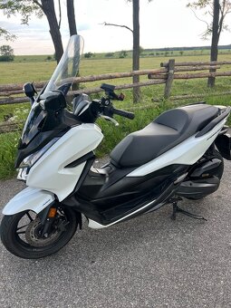 Honda forza 125 - 2