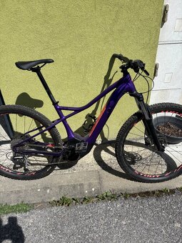 Specialized llevo - 2