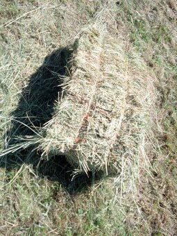 Predám Horské seno v malých balíkoch cena za balík 3,50-eur. - 2