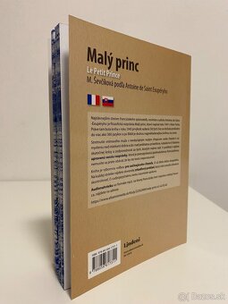 Malý princ - M. Ševčíková (AdSE) - 2