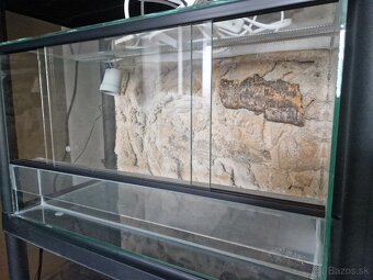 Predam terarium - 2
