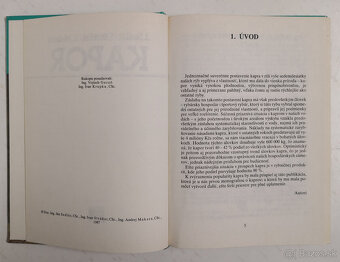 Kapor - 2