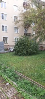 Prenájom 1 izbového bytu v lokalite Košice - Sever na Tolsté - 2
